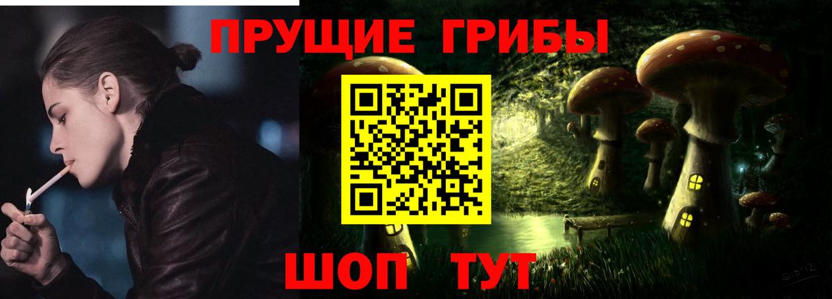 Псилоцибиновые грибы MAGIC MUSHROOMS  Вход с VPN  купить наркоту  Вышний Волочёк  Галлюциногенные грибы GOLDEN TEACHER 